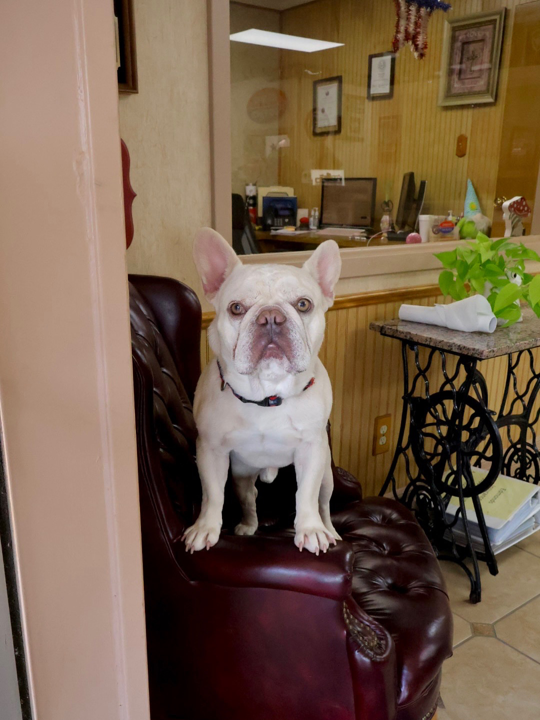 AB7DA670-E31E-4297-B3BF-B2372F286DC2